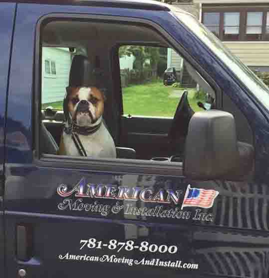 petfriendly.jpg